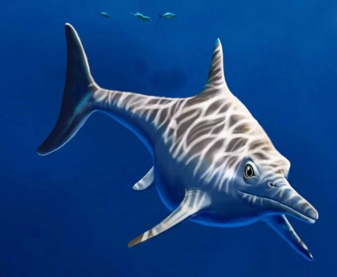 Artistic reconstruction of Sumpalla argentina