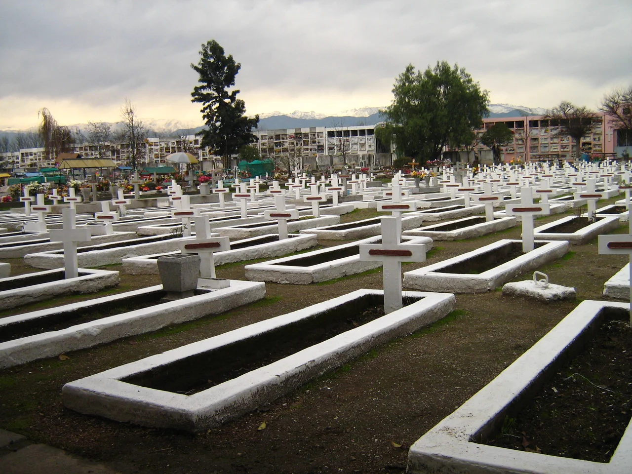 Vista general del sector en que se encuentran sepultadas la mayoria de los fallecidos en la Tragedia de El Humo, ocurrida en la Mina El Teniente, el 19 de junio de 1945. Cementerio N° 2, Rancagua