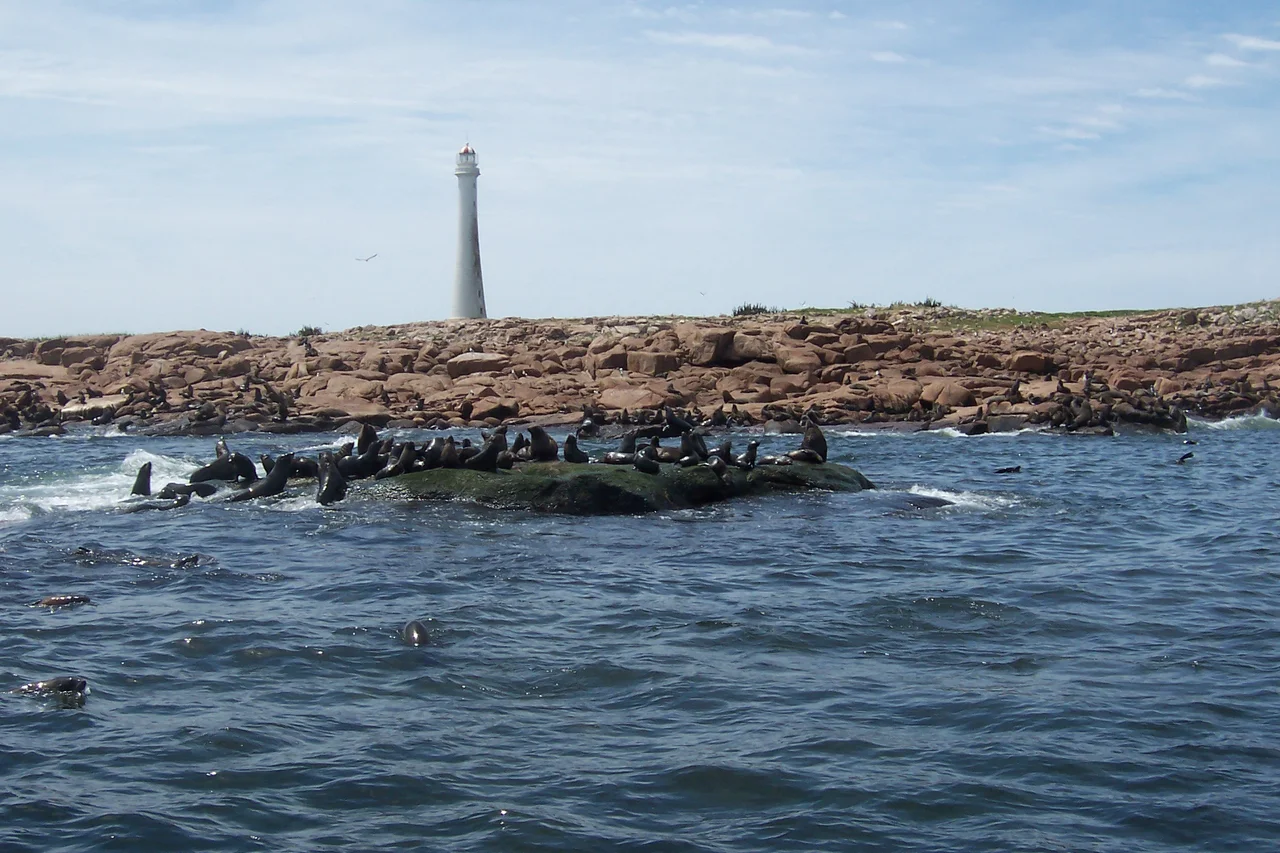 Vista desde el mar de la Isla de Lobos, a 8 km de Punta del Este