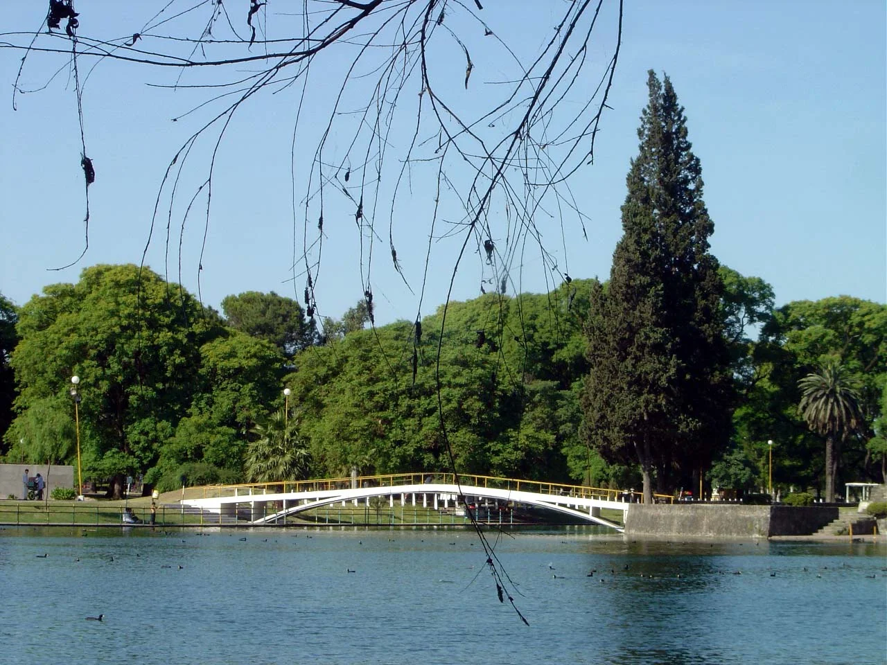Image: San Miguel Lake at the 9 de Julio Park
Author: jlazarte