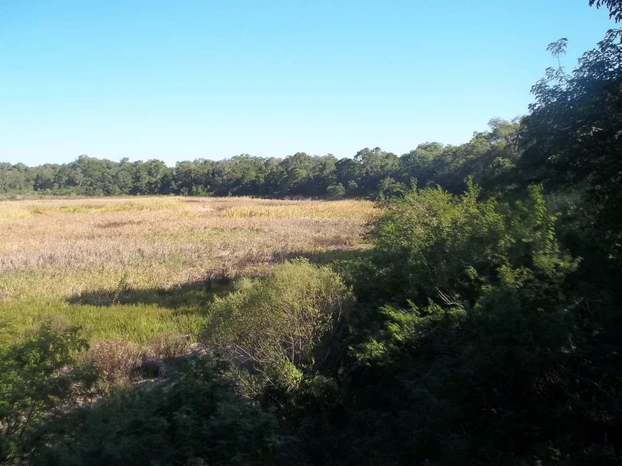 Vista de la laguna Carpincho en el Parque nacional Chaco