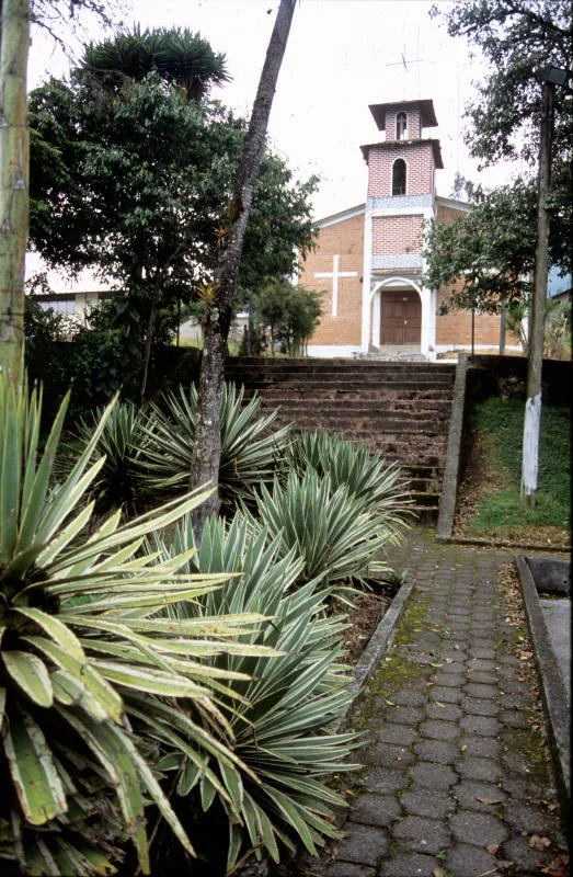 N Baeza 0409 030