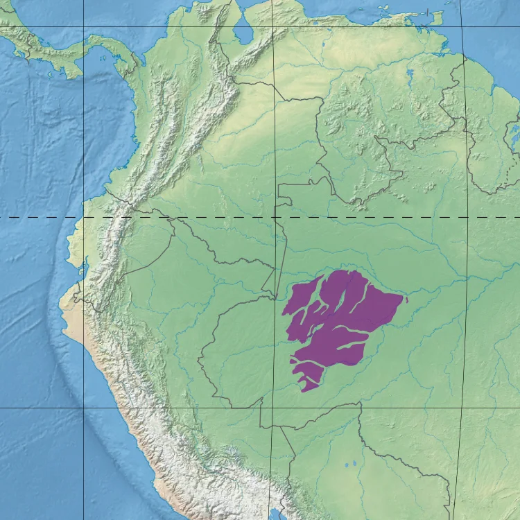 Ecoregion NT0133 - Juruá-Purus moist forests (in purple)