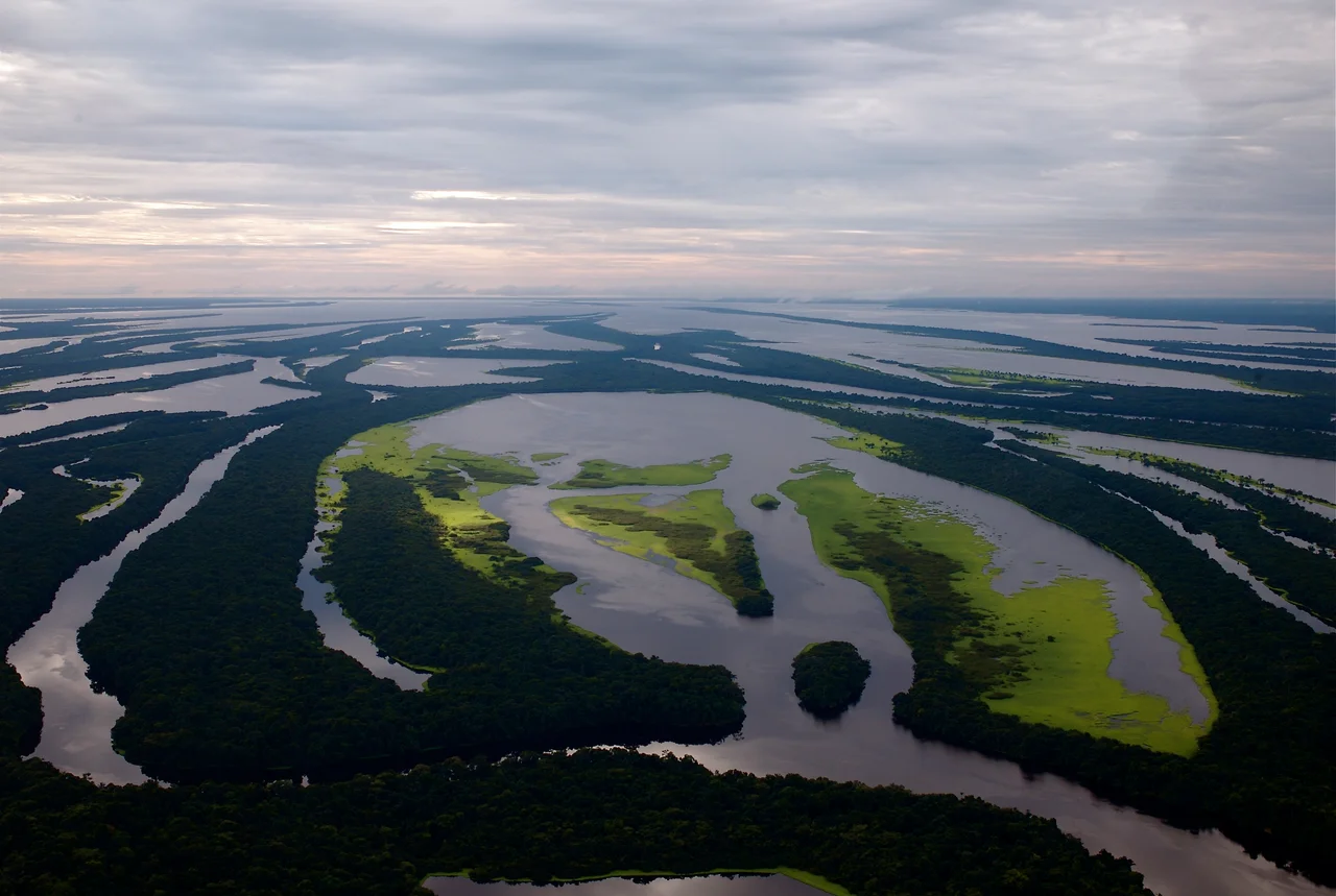 Pic by Neil Palmer (CIAT). Aerial view of the Amazon Rainforest, near Manaus, the capital of the Brazilian state of Amazonas.