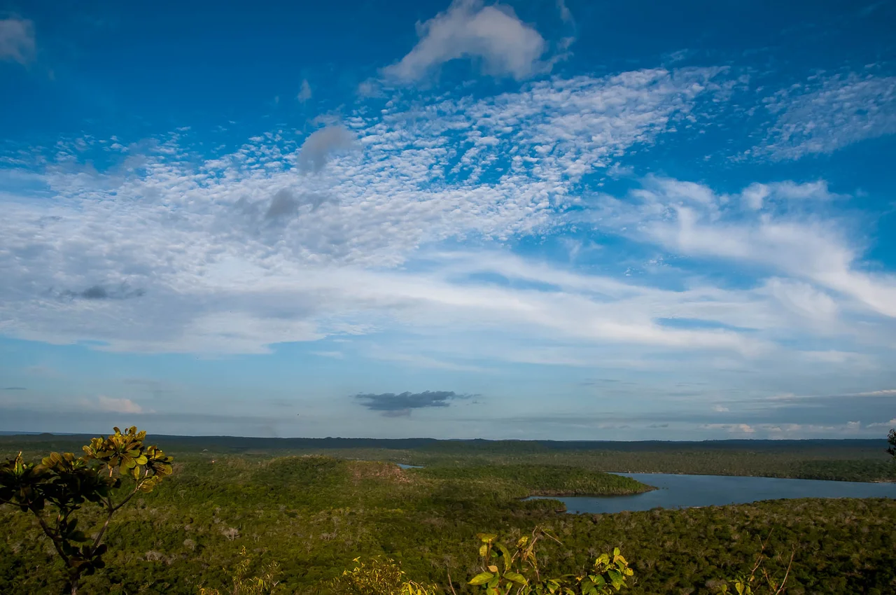A Floresta Nacional do Tapajós é uma importante unidade de conservação da natureza localizada na Amazônia, mais precisamente às margens do Rio Tapajós, na região do estado do Pará.
Criada em 1974, é a unidade de conservação federal na categoria de floresta nacional que mais abriga pesquisa científica no país – 65 pesquisas em 2013 (SISBIO, 2014).
Com aproximadamente 527.000 hectares – mais de 160 quilômetros de praias – a unidade apresenta grande diversidade de paisagens: rios, lagos, alagados, terra firme, morros, planaltos, floresta, campos, açaizais, etc...
A cobertura florestal fortemente preservada, o Rio Tapajós com suas águas verdes e mornas, e a enorme beleza cênica da região tornam Floresta Nacional do Tapajós uma das unidades de conservação mais visitadas na região norte do Brasil.
Além das qualidades ambientais a Floresta Nacional do Tapajós também apresenta expressiva riqueza sociocultural, representada por aproximadamente 500 indígenas da Etnia Munduruku, divididos em três aldeias – Bragança, Marituba e Takuara.
Essa riqueza cultural também é representada pelos mais de 5000 moradores tradicionais – populações ribeirinhas com hábitos culturais próprios – que vivem em 25 comunidades na região, desde antes da criação da unidade.