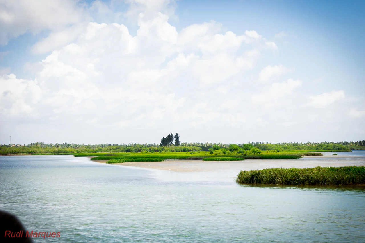 Estuário do Rio São Francisco