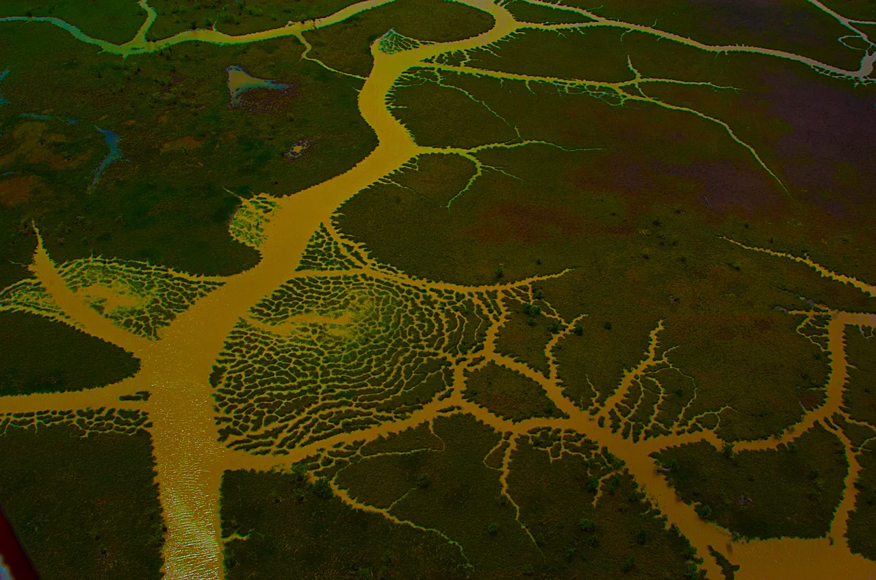 O Delta do Parnaíba e suas belas paisagens do mundo. Está localizado entre os estados do Maranhão e Piauí tendo em Parnaíba sua porta de entrada