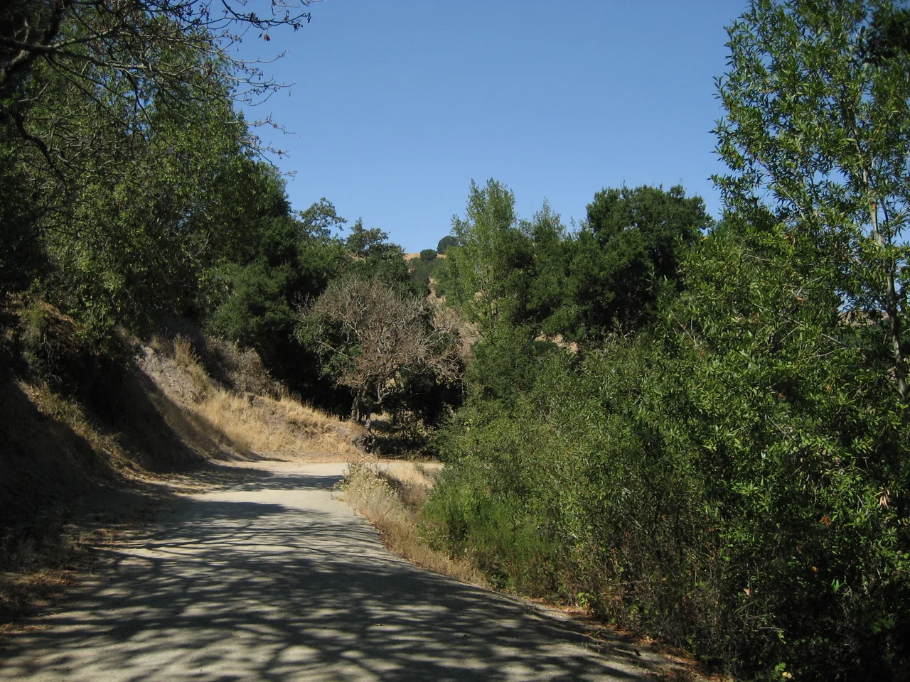 The View from Old Briones Trail at Briones Regional Park.
In the Category:East Bay Regional Parks District, San Francisco Bay Area.
Contra Costa County, California.