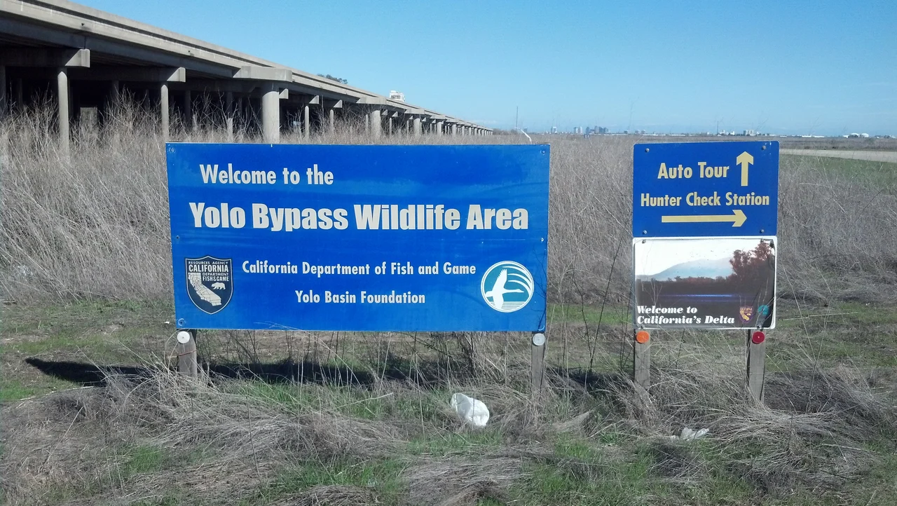 The entrance to the Yolo Bypass Wildlife Area, with the Yolo Causeway to the left — in the northern Sacramento–San Joaquin River Delta.
Located in the Sacramento Valley, Yolo County, northern California.
Photo by Jim Heaphy.