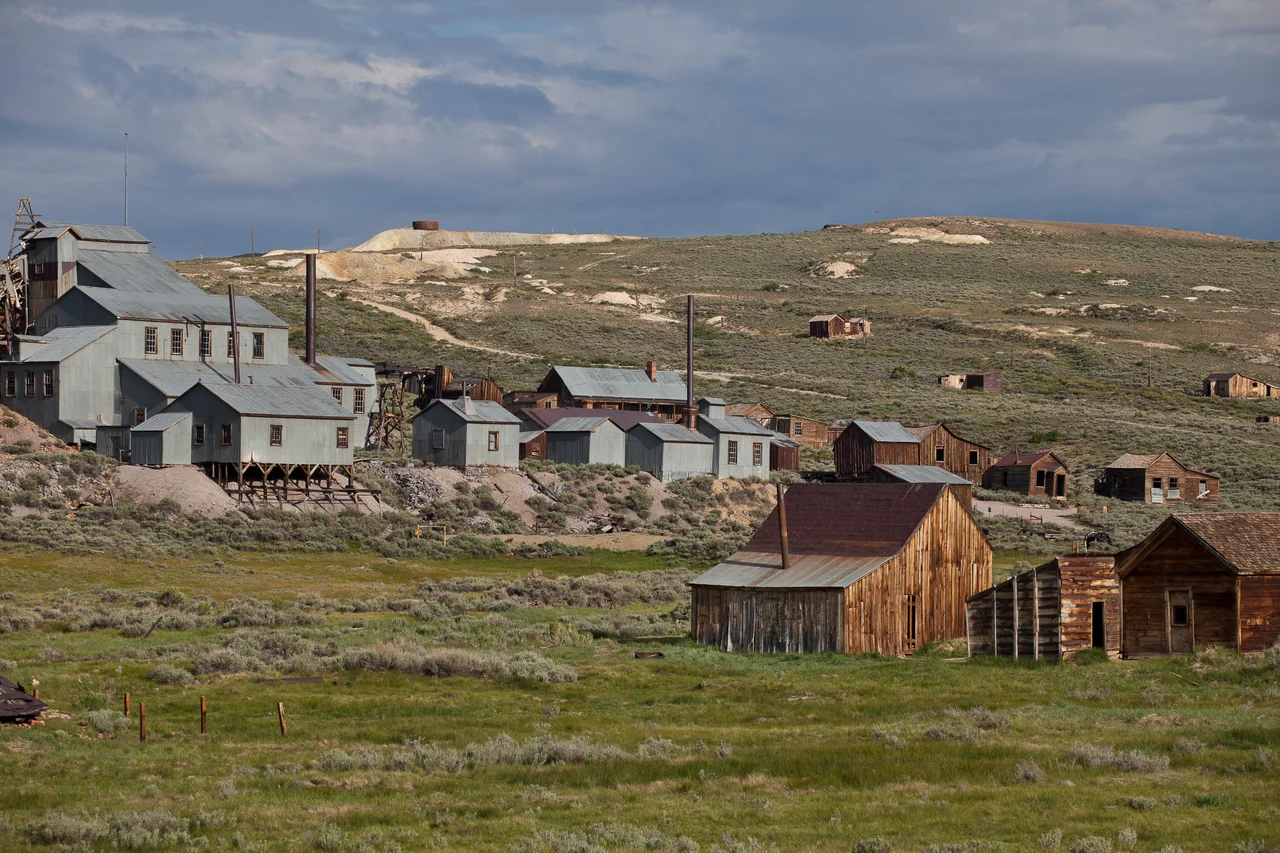 The Bodie Hills region totals 121,500 acres of BLM lands, adjacent to Forest Service and privately owned land. There are three BLM Wilderness Study Areas within the Bodie Hills: Bodie, Bodie Mountain and Mt. Biedeman.
California’s Eastern Sierra region is a dramatic transition zone between the snow-capped granite spires of the Sierra Nevada and the endless sagebrush covered uplands of the Great Basin. A visit at the right time of year will reward visitors with a diversity of wildflowers.
Visitors to Bodie Hills can explore the Bodie ghost town and then head out on a wilderness adventure among wildflowers or fall colors, depending on time of year. Wildlife viewers can see antelope, mule deer, and if lucky, get a glimpse of the Greater Sage-grouse.
Photo by Bob Wick, BLM.