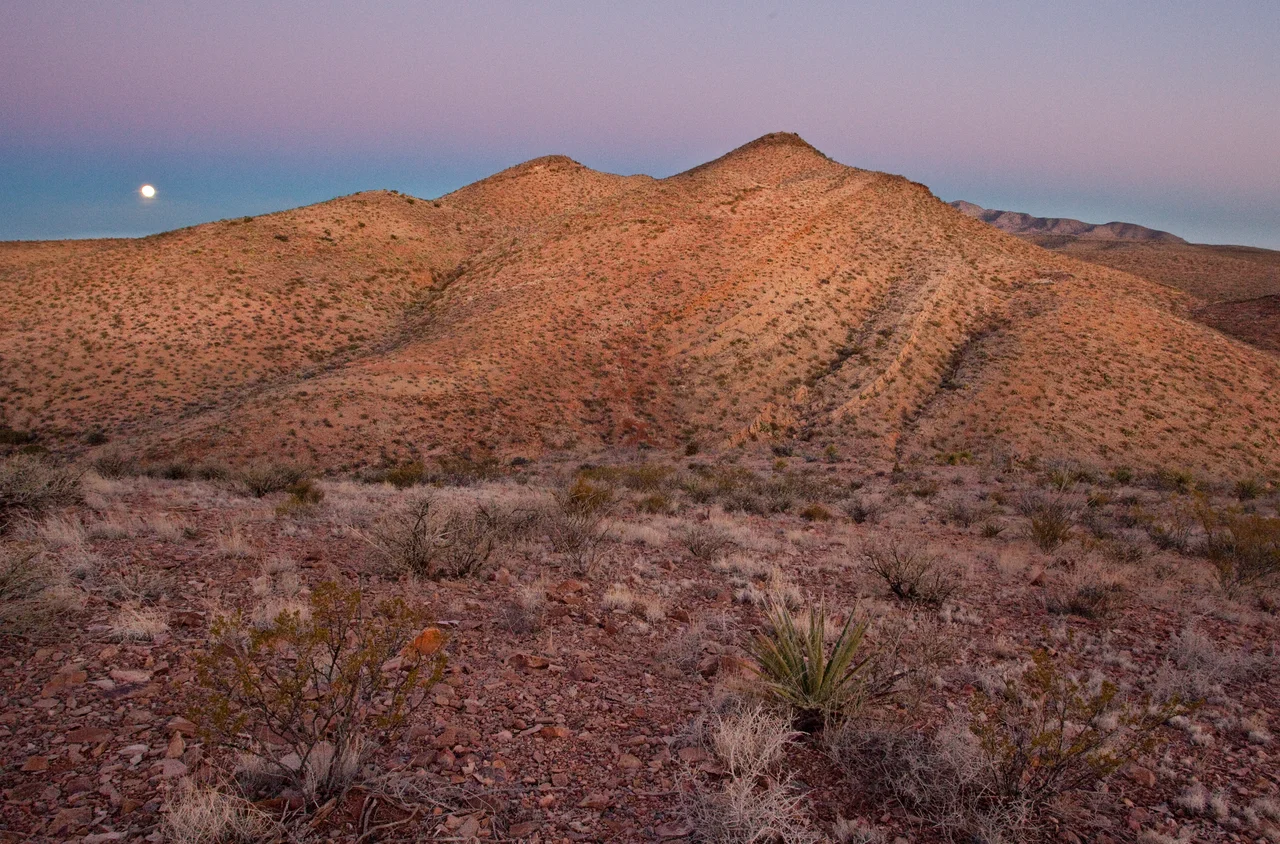 conservationlands15 Social Media Takeover, March 15th
Our #conservationlands15 celebration continues with dinosaur finds on the BLM’s National Conservation Lands. Check out the Prehistoric Trackways National Monument just outside of Las Cruces, New Mexico, as a preview of cool things to come. The Monument includes a major deposit of Paleozoic Era fossilized footprint mega-trackways from a time that predates even the dinosaurs.
The trackways contain footprints of numerous amphibians, reptiles, and insects (including previously unknown species) as well as plants and petrified wood dating back 280 million years. These fossils collectively provide new opportunities to understand animal behaviors and environments. The site contains one of the most scientifically significant Early Permian track sites in the world. Visitors can view trackways displays at the New Mexico Museum of Natural History in Albuquerque.
And any trip to the Prehistoric Trackways and Las Cruces area should include the must-see Organ Mountains-Desert Peaks National Monument, just a stone’s throw away from across the Rio Grande Valley, and one of New Mexico’s most breathtaking landscapes. The area offers hiking, camping, rock climbing and nature study right in the back yard of the community.
Photos by Bob Wick, BLM