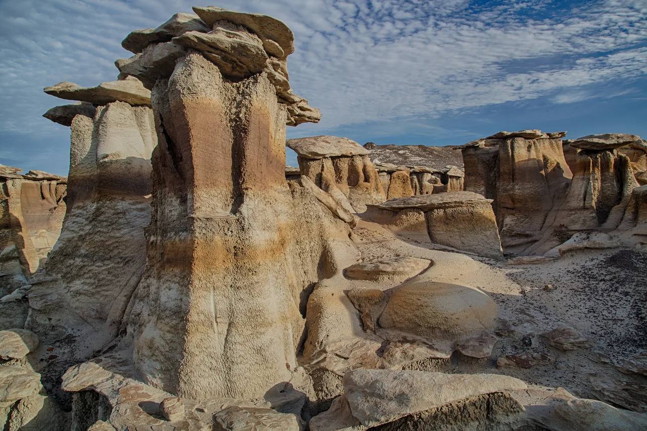 Check Out the Top 15 “Wild Facts” about BLM Wilderness and Wilderness Study Areas on This Month’s #conservationlands15 Social Media Takeover.
1. BLM’s nearly 8.8 million acres of federally designated wilderness account for about 3.5 percent of the Bureau’s total acreage in the United States.
2. BLM’s newest wilderness is the Jim McClure-Jerry Peak Wilderness in Idaho, designated on August 7, 2015. BLM’s oldest wilderness areas are the 1,807-acre Santa Lucia Wilderness in California and Oregon’s 8,604-acre Wild Rogue Wilderness, designated in 1978.
3. The BLM’s largest wilderness is the Black Rock Desert in Nevada. At nearly 315,000 acres, the wilderness is about half the size of Rhode Island.
4. Just five acres, the Rocks and Islands Wilderness off the coast of California is BLM’s smallest.
5. At 260,000 acres, Alaska’s Central Arctic Management Area is BLM’s largest wilderness study area.
6. The smallest wilderness study area is 10-acre Hack Lake WSA in Colorado.
7. BLM manages nearly two-thirds of the 5.5 million acres Congress has designated as wilderness in the past 15 years.
8. Alaska’s Central Arctic Management Area Wilderness Study Area contains the first well-documented Paleo-Indian site discovered in the North American Arctic. Excavations there have revealed stone tools and hearths dating to 7,700 – 9,700 BC.
9. The Bisti/De-Na-Zin Wilderness in New Mexico preserves a record of biotic change that occurred across the Cretaceous-Tertiary extinction event of 66 million years ago, including the best record of mammalian succession and post-extinction re-diversification.
10. BLM manages more desert wilderness units than any of the wilderness-managing agencies (National Park Service, U.S. Fish and Wildlife Service, and U.S. Forest Service). Most of BLM’s wilderness areas are located in the Southwest; 80 percent are in Arizona, California, and Nevada.
11. Archaeological sites in New Mexico’s Peña Blanca Wilderness Study Area contain remains of the oldest cultivated corn in the U.S.
12. The highest BLM-managed land is 14,048-foot Handies Peak in the Handies Peak Wilderness Study Area in Colorado.
13. Jaguars, a species rarely seen in the U.S., have occasionally been seen in Guadalupe Canyon Wilderness Study Area in New Mexico. Located on the U.S.-Mexico border, the unit is the farthest south of the BLM’s 517 WSAs.
14. The King Range Wilderness includes approximately 25 miles of Pacific coastline—part of California’s “Lost Coast”—one of the few oceanfront wilderness areas in the Lower 48.
15. The BLM manages five wilderness study areas in Utah’s Henry Mountains, a place so remote it was the last mountain range in the Lower 48 to be mapped and named (Mt. Hillers, Little Rockies, Mt. Pennell, Bull Mountain, and Mt. Ellen-Blue Hills WSAs).
Note: The #conservationlands15 Social Media Takeover is a 2015 monthly celebration of the 15th anniversary of the BLM’s National Conservation Lands.