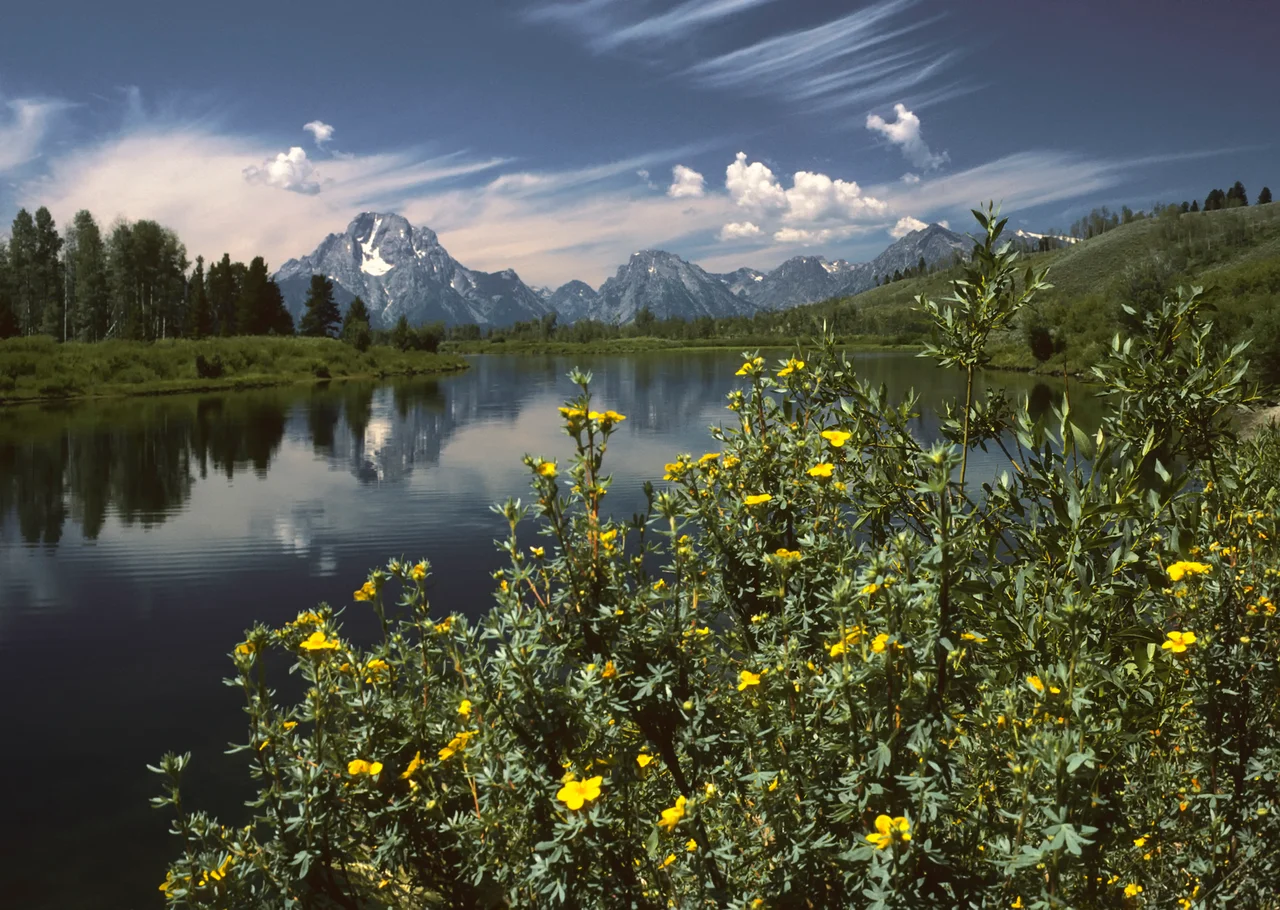 Oxbow Bend outlook in the Grand Teton National Park. View over the Snake River to the Mount Moran with the Skillet Glacier (12,605 ft/3,842 m), Bivouac Peak (10,825 ft/3,299 m) and Eagles Rest Peak (11,258 ft/3,431 m) in the Teton Range, Wyoming, United States.