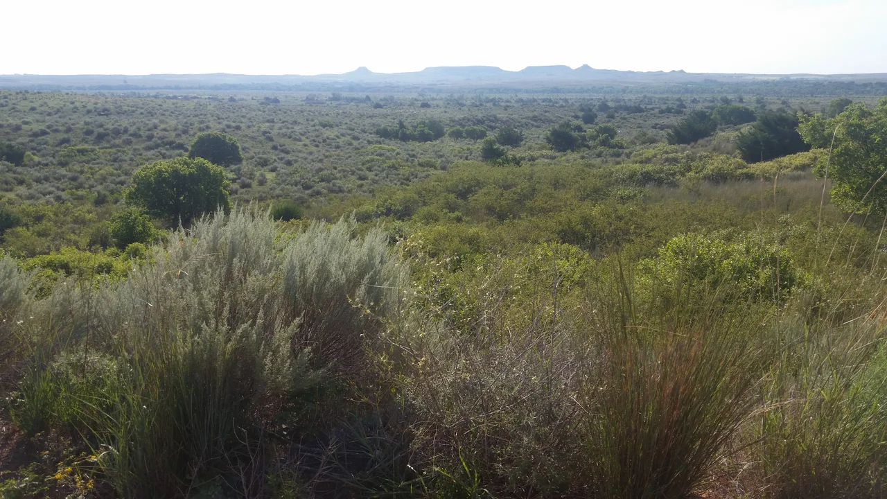 View of the Antelope Hills battlefield, with the Antelope Hills in the background and the Canadian River the midground. The confluence with Little Robe Creek is downstream to the left.