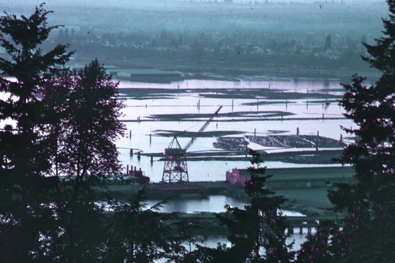 View of Bellingham harbor filled with the logs to be processed by the Georgia-Pacific company pulp mill.
Other information
The Bellingham Bay no longer looks like this.