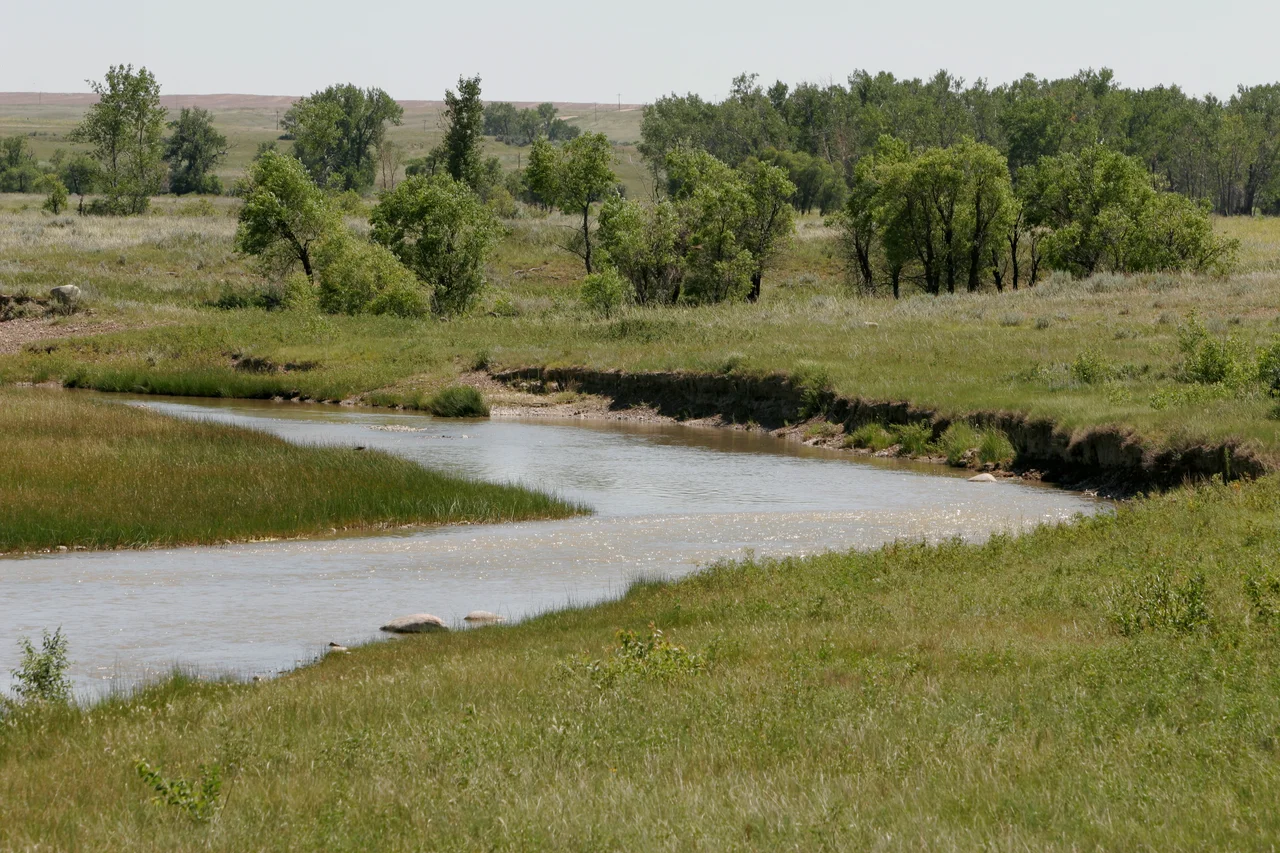 The Poplar River on the Ft. Peck Reservation, July 2005.