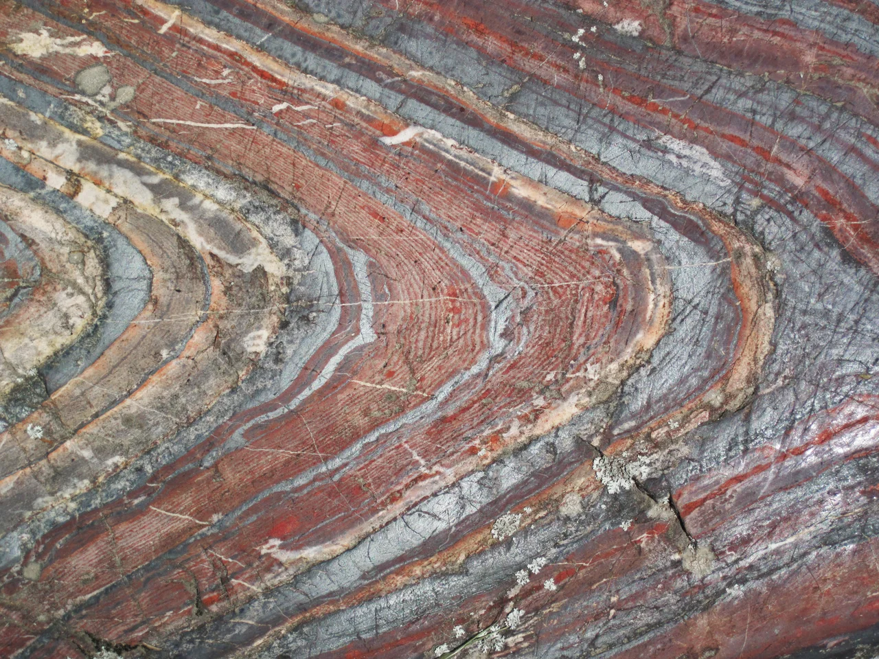 Glacially eroded outcrop of jaspilite banded iron formation in the Precambria of Minnesota.
The Soudan Iron-Formation is a Neoarchean-aged banded iron formation (BIF) unit in the Vermilion Greenstone Belt of northeastern Minnesota, USA. Stratigraphically, the Soudan is considered to be the middle member of the Ely Greenstone. Metamorphosed pillow basalt successions occur above and below the iron-rich interval:
- upper member of the Ely Greenstone
- Soudan Iron-Formation member
- lower member of the Ely Greenstone
Radiometric dating of Ely Greenstone rocks (see Jahn & Murthy, 1975) indicate that the Soudan Iron-Formation is about 2.69 billion years old.
The Soudan Iron-Formation was deposited in a deep-water environment and is closely associated with several types of volcanic rocks formed in an ancient island arc setting. As such, the unit is classified as an Algoma-type iron-formation. Superior-type iron-formations were deposited in relatively shallow water, continental shelf settings.
The Soudan Iron-Formation is exposed in & around the town of Soudan, Minnesota at roadcuts, glacially-eroded outcrop knobs, surface mines, and underground mines. The best exposures are at Soudan Underground Mine State Park. The Soudan Mine targeted high-grade iron ore (specularite) for many decades and closed in the early 1960s. The site is now accessible to the public and underground tours are offered.
Observed iron-rich lithologies in the Soudan Iron-Formation include specularite, jaspilite BIF, and magnetite BIF.
The above photo is part of a glaciated knob of jaspilite BIF in Soudan Mine Park. The outcrop is glacially smoothed and striated. The rocks here are faulted and complexly folded. Folding occurred in two phases - some of it occurred during soft-sediment deformation events and subsequent structural folding occurred after the rocks were lithified. The light-colored layers are chert (= microcrystalline to cryptocrystalline quartzose sedimentary rock), the red layers are "jasper" (= hematite-rich chert), and the silvery-gray layers are magnetite-chert. A detailed description of this outcrop occurs in Huda et al. (2008).
Stratigraphy: Soudan Iron-Formation member, Ely Greenstone, Vermilion Greenstone Belt, Neoarchean, ~2.69 Ga
Locality: glaciated outcrop now adjacent to Stuntz Bay Road in Soudan Underground State Park, Soudan, northern St. Louis County, northeastern Minnesota, USA (47° 49' 14.82" North, 92° 14' 11.84" West)
References cited:
Huda et al. (2008) - Field Guide to the Volcanology, Structure, Alteration, and Mineralization of Archean Greenstone Belts in the Vicinities of Sturgeon Lake and Rainy River, Ontario and Lake Vermilion, Minnesota, October 5-12, 2008, Field Trip Guidebook. 209 pp.
Jahn & Murthy (1975) - Rb-Sr ages of the Archean rocks from the Vermilion District, northeastern Minnesota. Geochimica et Cosmochimica Acta 39: 1679-1689.