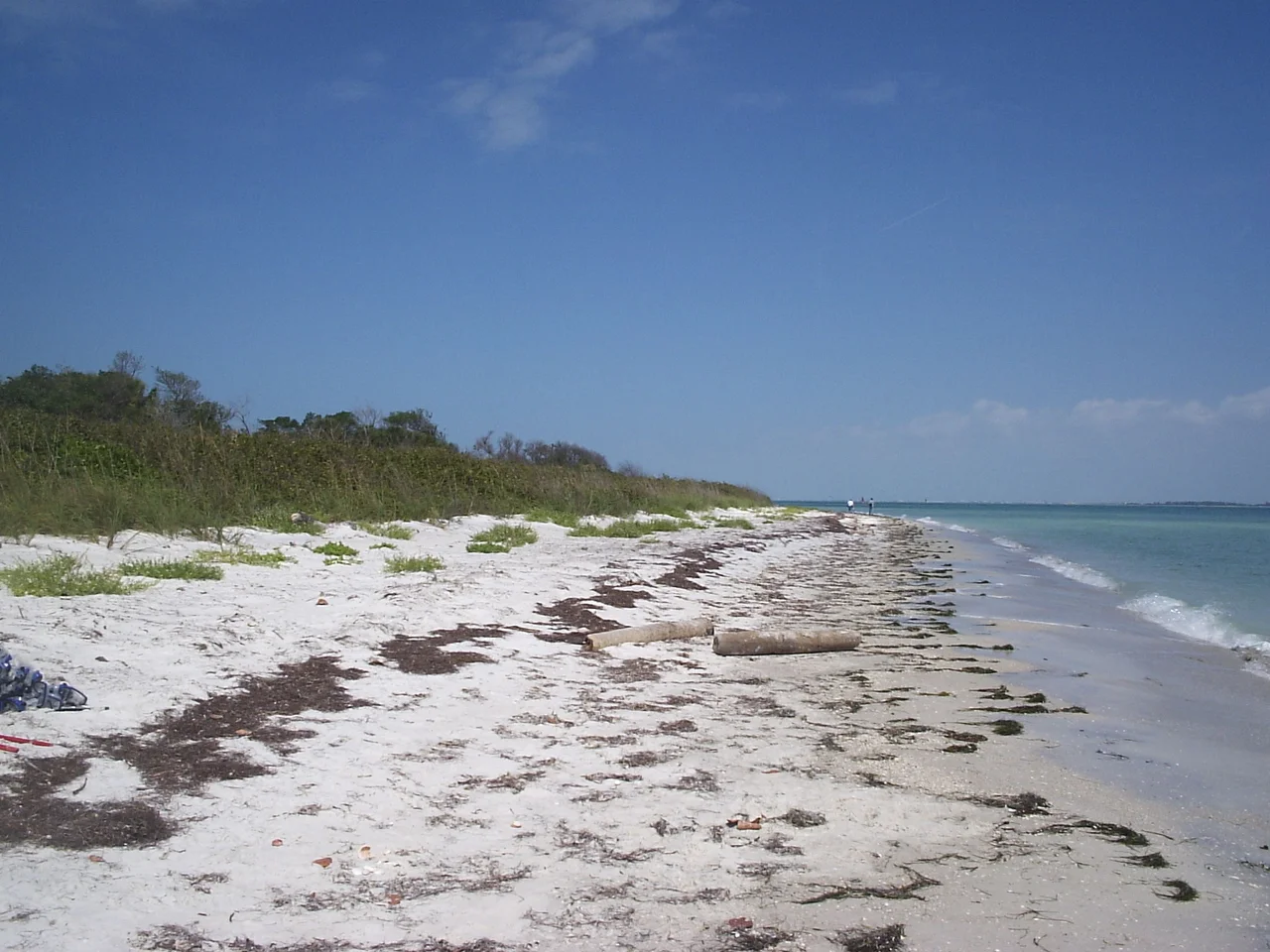 Taken by me at Egmont Key State Park, Florida on March 16, 2006, using an Olympus Camedia D-395 digital camera . CC-BY-SA-2.5. Looking north along eastern beach of Egmont Key.Mikereichold 23:19, 16 March 2006 (UTC)