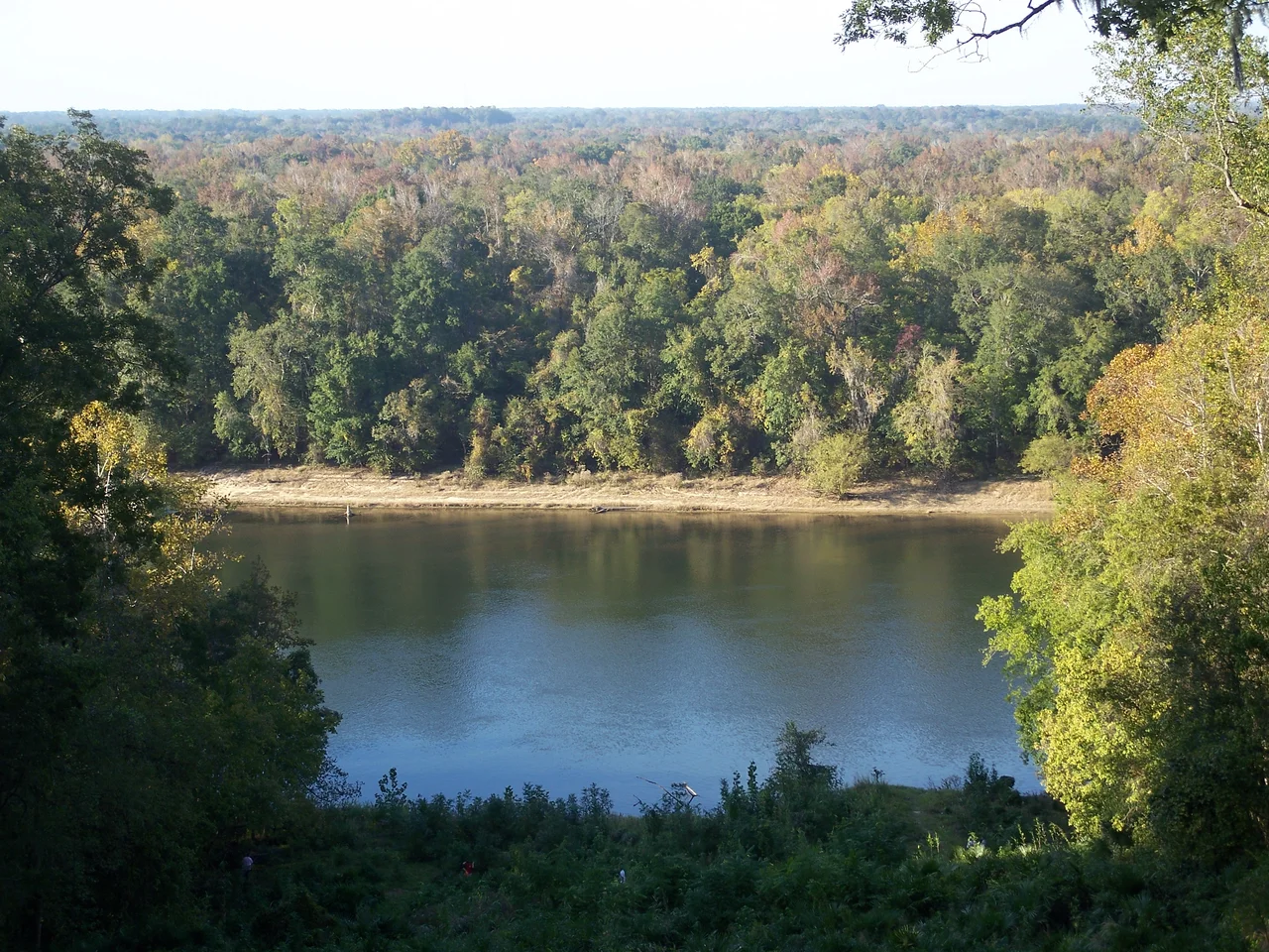 View of the Apalachicola river from behind the Gregory House in Torreya State Park