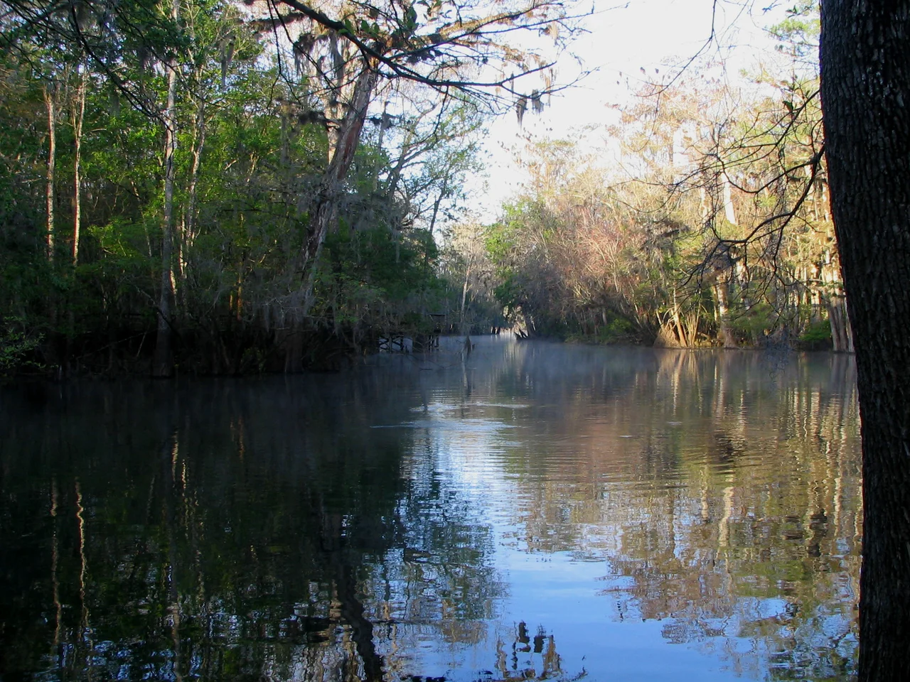 Manatee River State Park - Spring Run