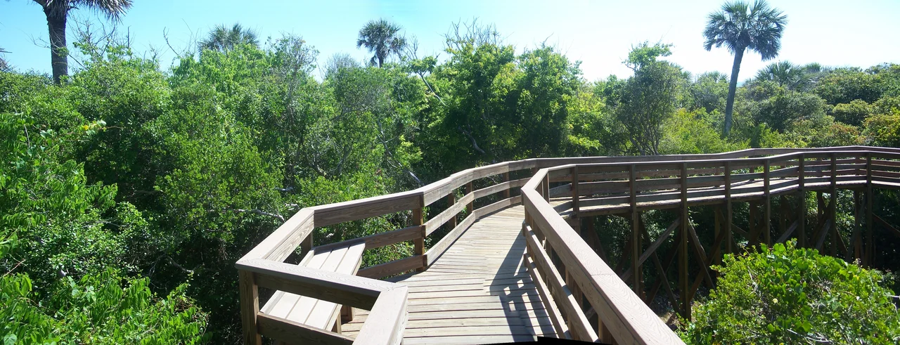 Canaveral National Seashore: Turtle Mound: 

Boardwalk to top of mound