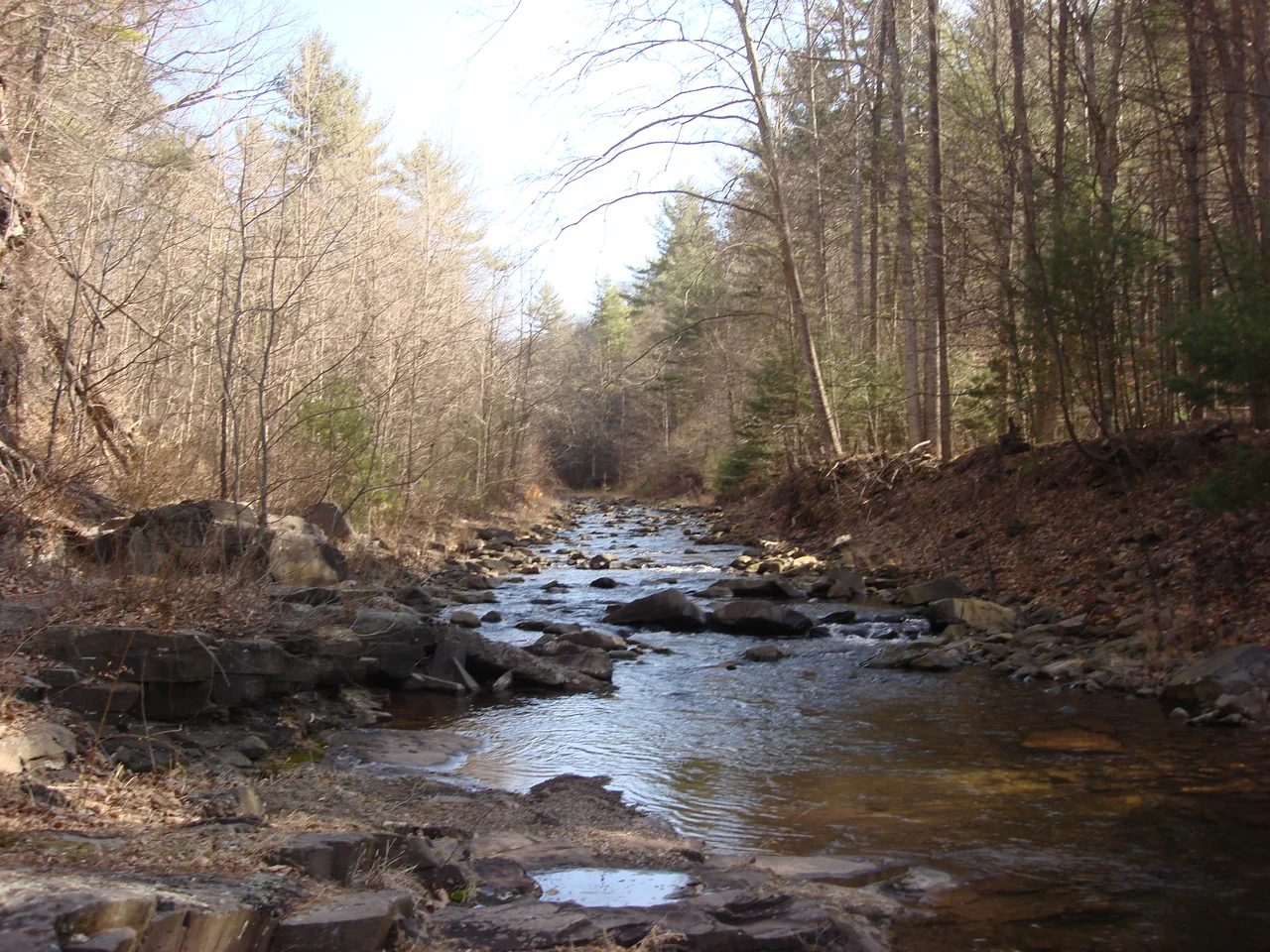 Major waterway through Ramsey's Draft Wilderness Area near West Augusta, Virginia.