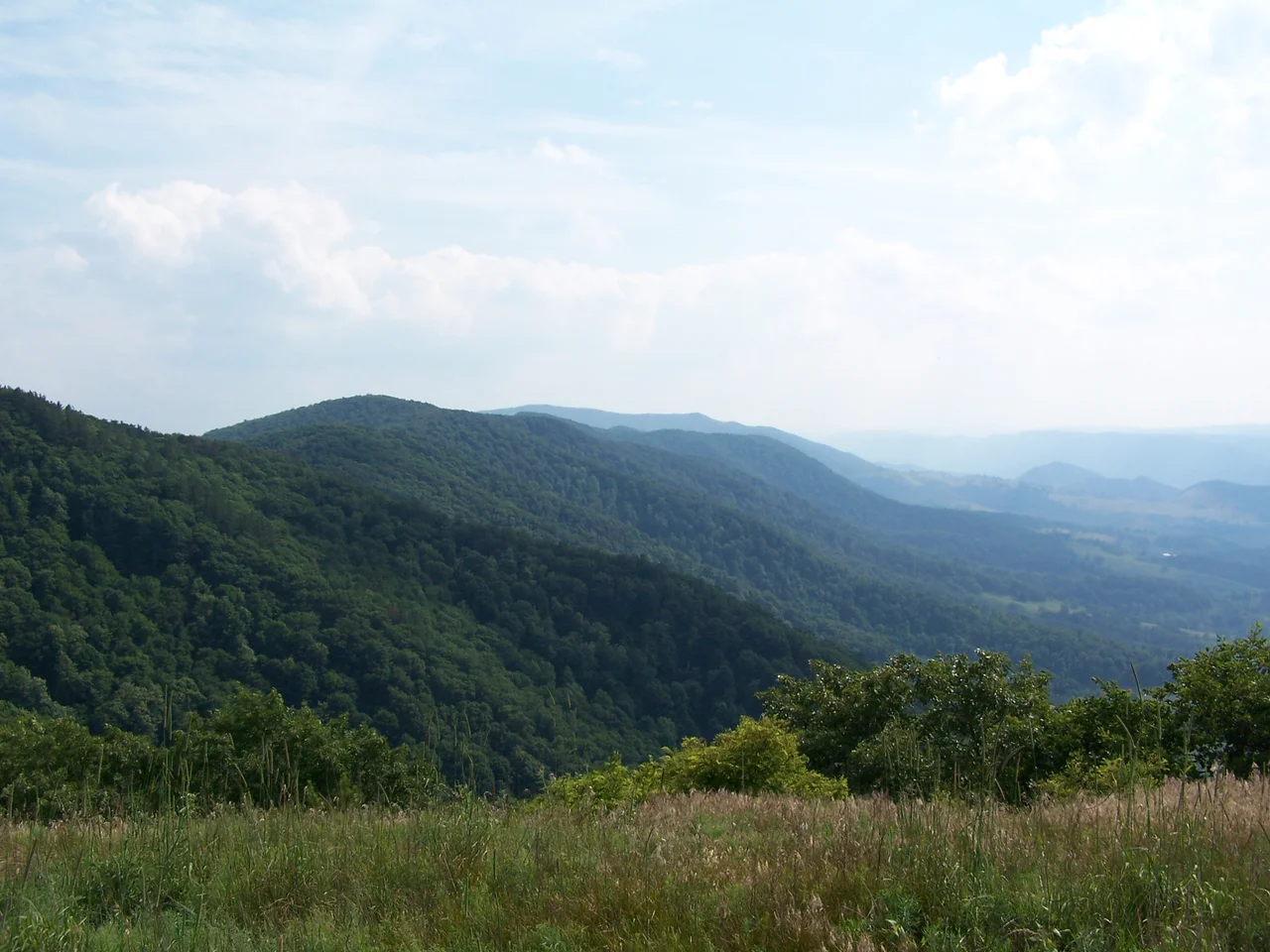View of w:North Fork Mountain looking south from Nelson Sods.