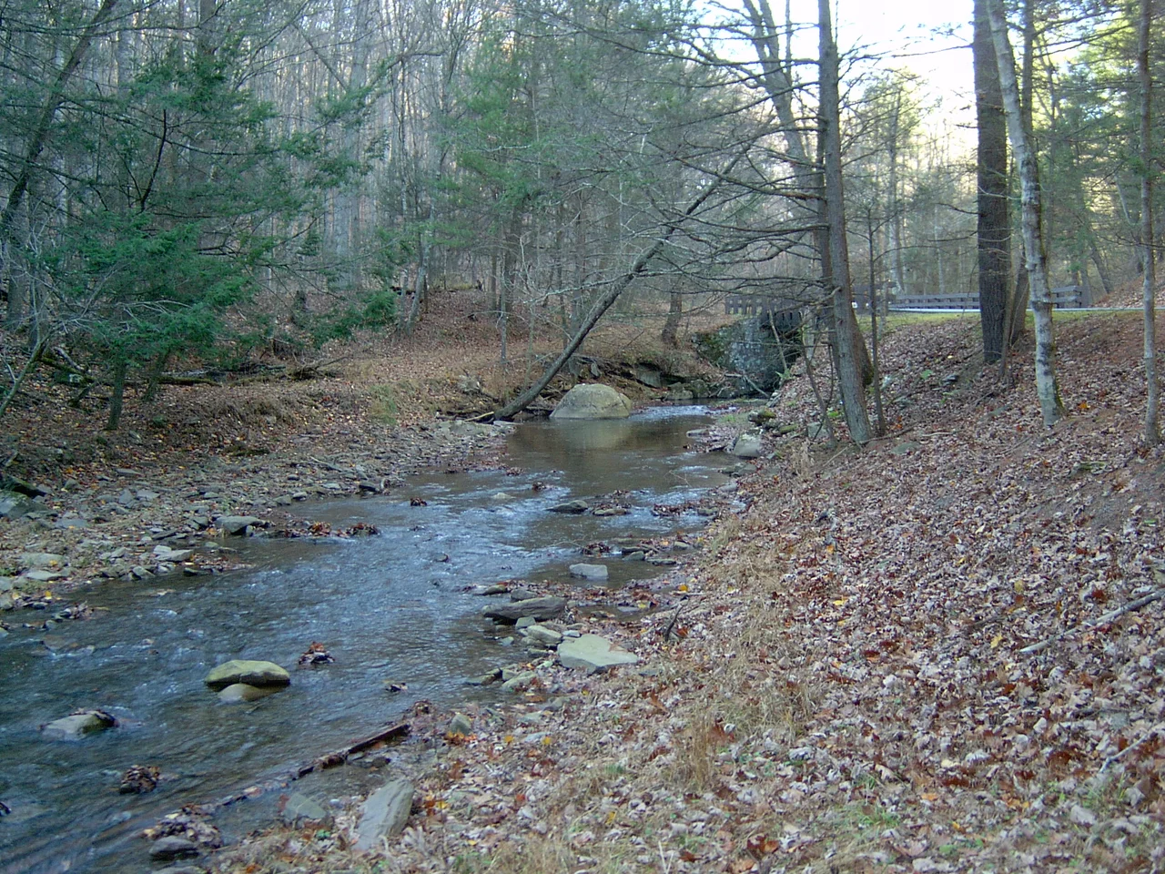 Tributary of en:Lost River in en:Lost River State Park, en:Hardy County, West Virginia.  Photo taken on November 6, 2004, by Brian M. Powell.