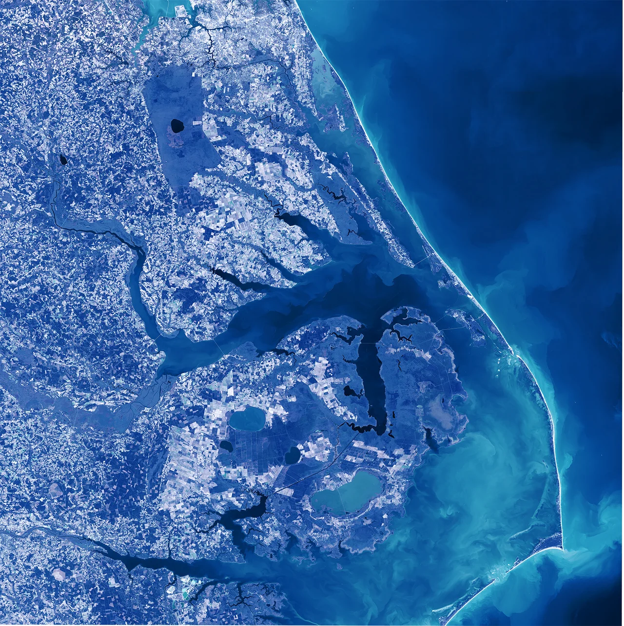 Satellite image of Albemarle Sound, derived from Landsat 8 data.