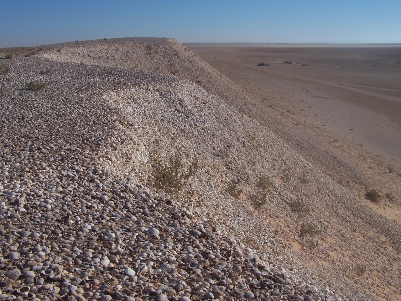 Huge shell heap at Bacn d'Arguin National Park, Mauritania