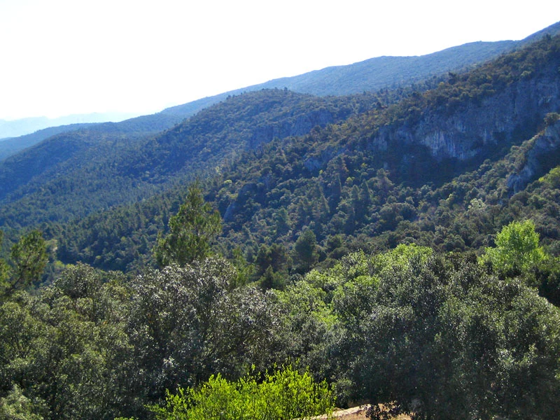 Carrascar d'Alcoi, des de la Font Roja