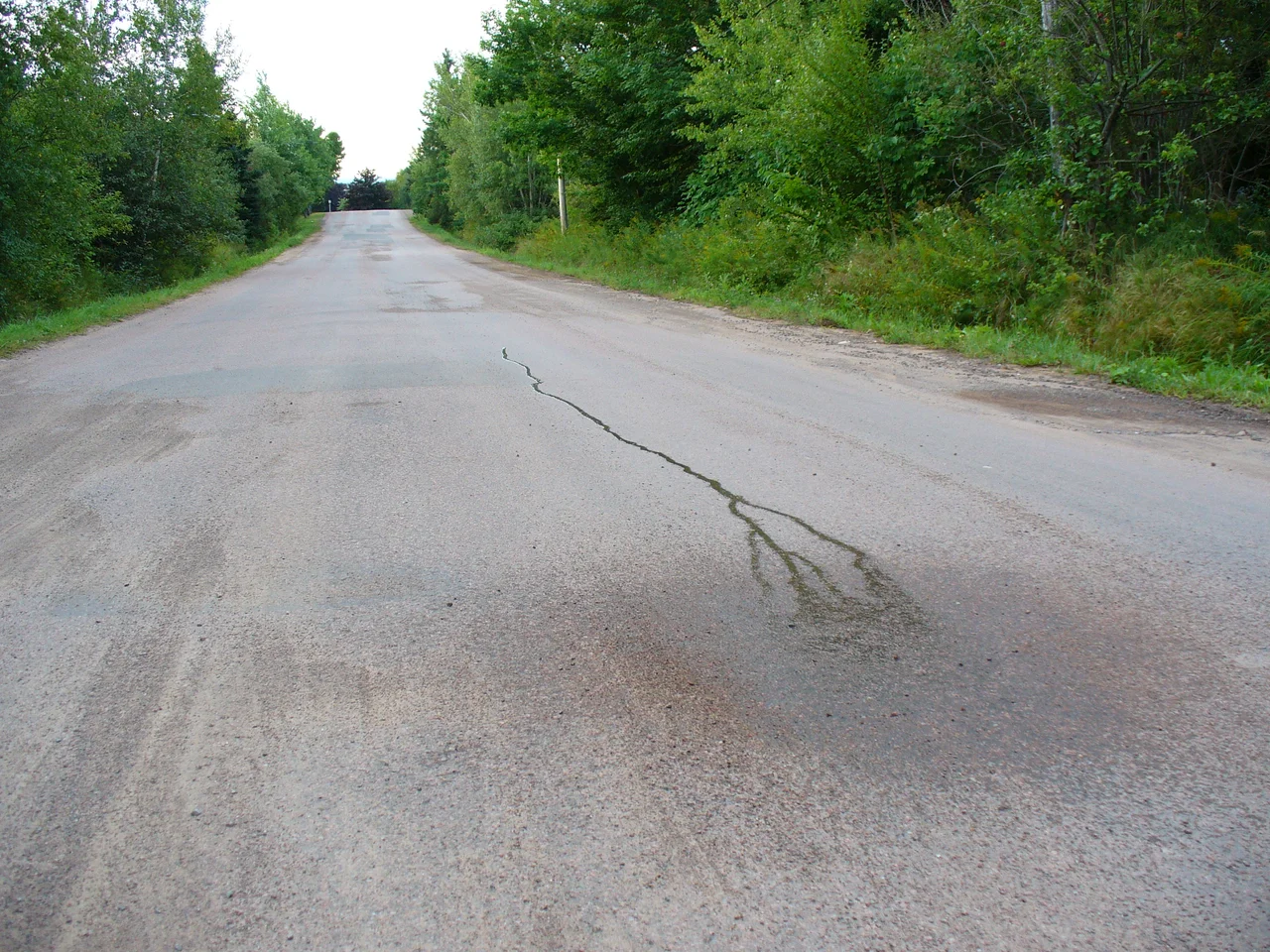 Poured water running "uphill"