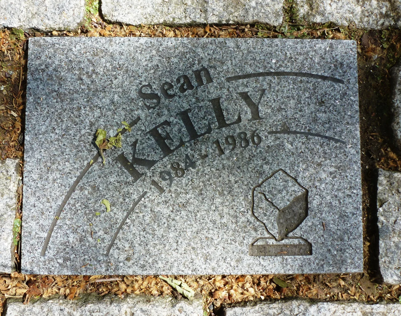 Pflasterstein für Sean Kelly auf der Allée Charles Crupelandt in Roubaix