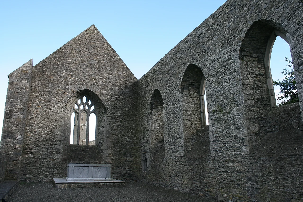 Aghaboe, County Laois, near to Aghaboe, Kilcotton, Boherard, Corraun and Badgerisland, Laois, Ireland.
Aghaboe Abbey, founded in 577.