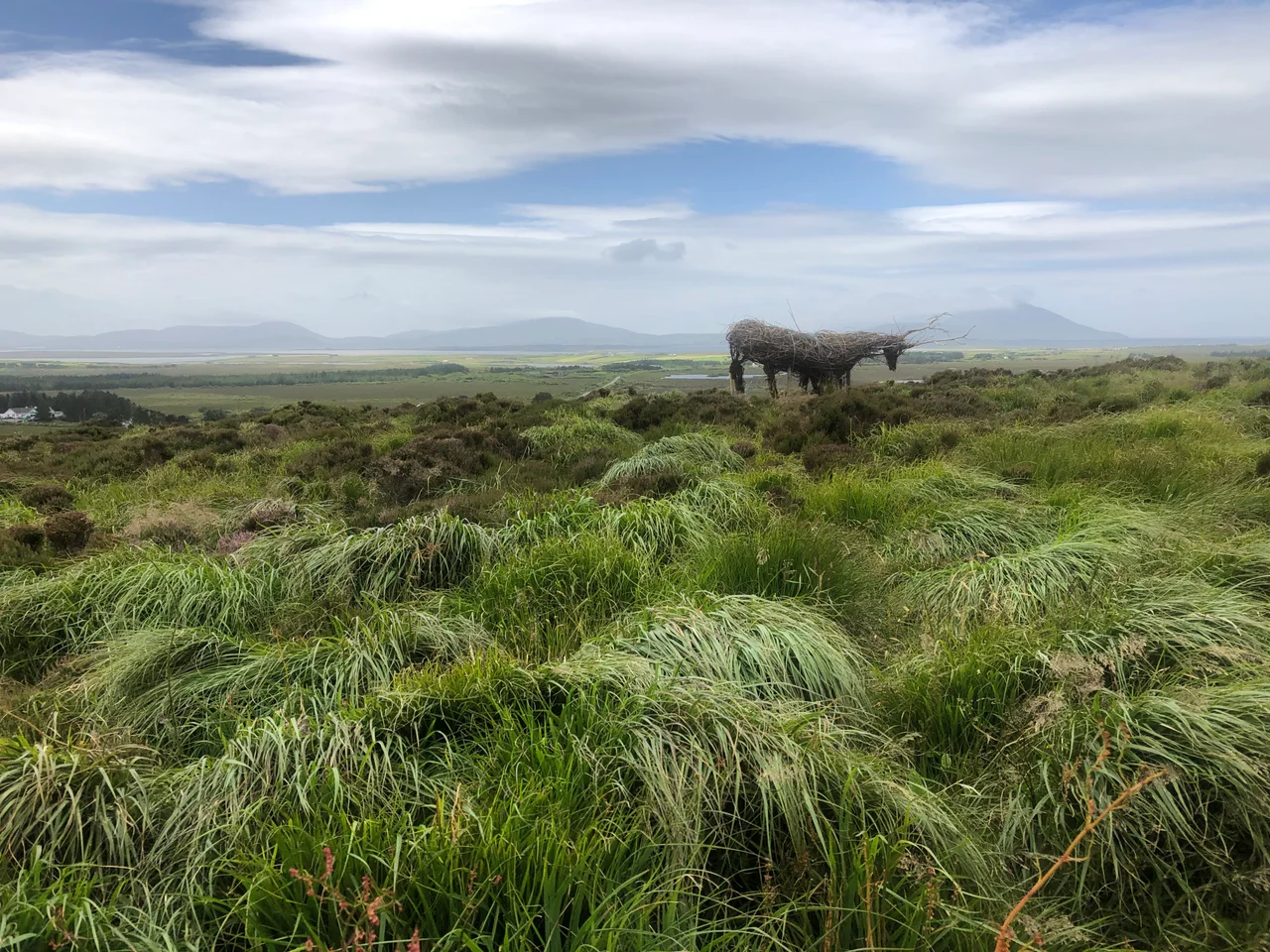 A willow sculpture by Aidan Crotty stands amongst purple moor-grass at the Wild Nephin Ballycroy National Park Visitor Centre, with the Nephin Beg mountain range in the distance.