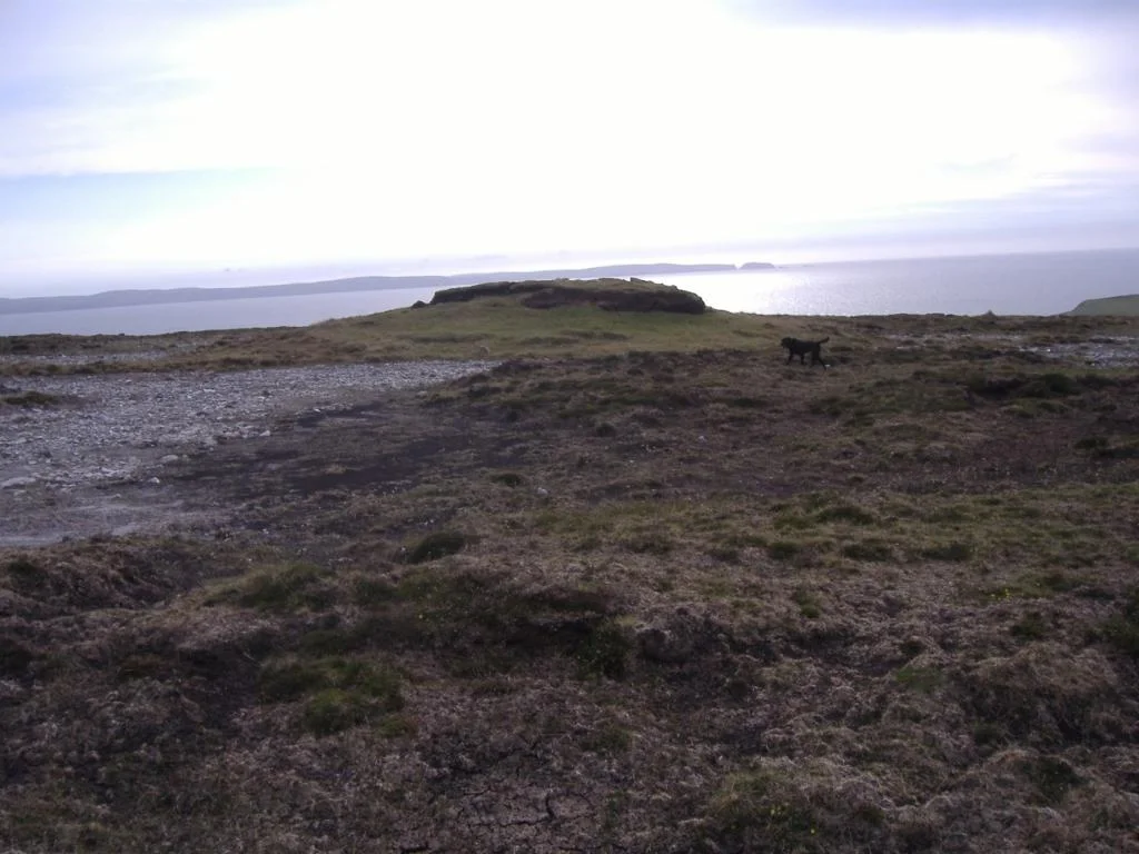 Sidheáns are blocks of turf which are left uncut by the turf cutters. They are places where there is a 'bad feeling' about cutting the turf from them. Sidheans normally consist of just peat. Carraghauns are similar but they have rocks in them (possible megalith sites) and Leachtas have exposed stones in them. This sidheán is at Killgalligan, Kilcommon, Erris, North Mayo. Its name is Sidheán Mór.