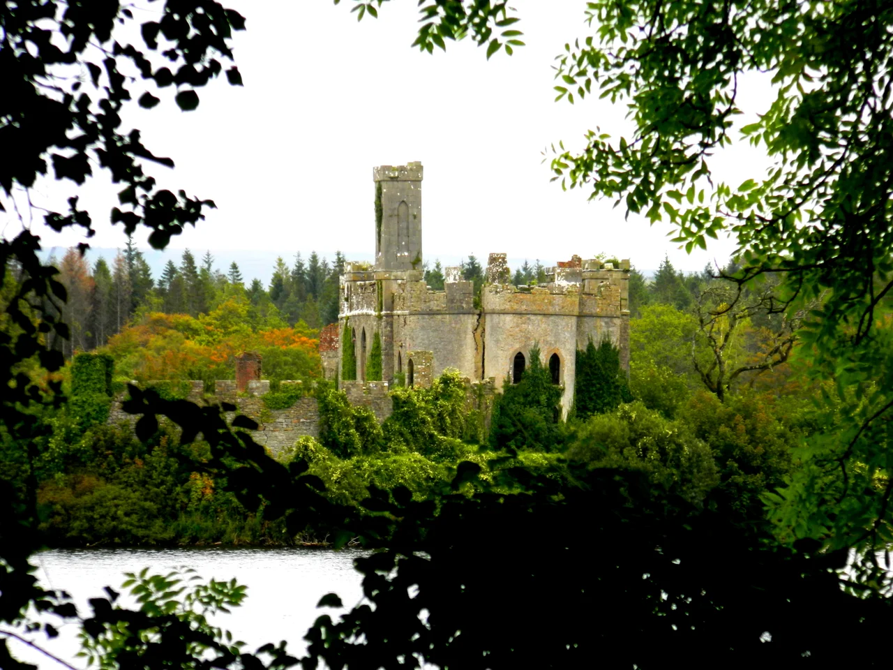 The Rock, now called Castle Island, was the McDermott's official residence. (There is reference to Castle Island in the annals of Lough Ce as early as 1184. During this time the park was called Moylurg and the Kings of Moylurg were the McDermotts).