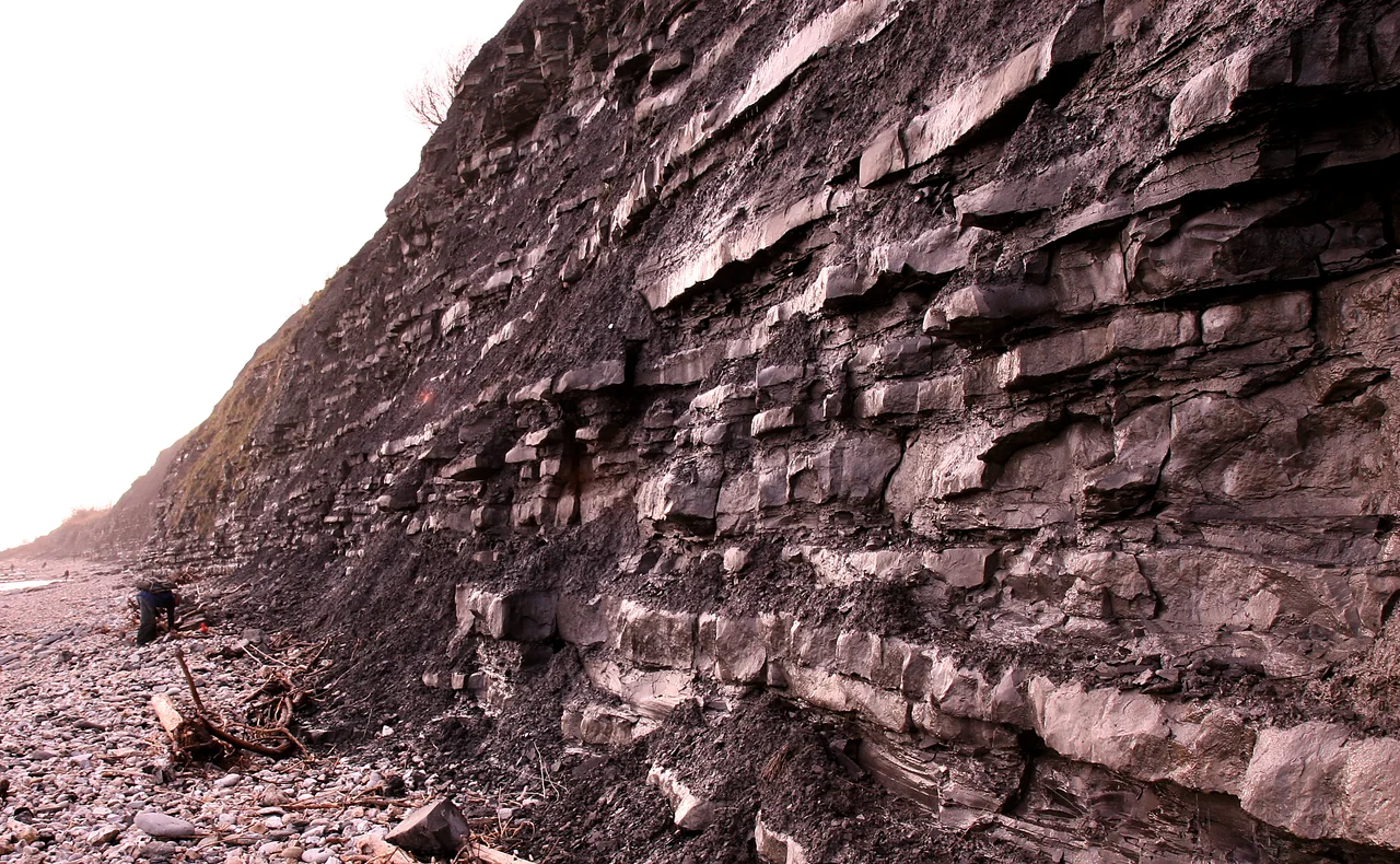 Sea cliff made up of an alternation of Lower Jurassic dark claystones and limestones of the Blue Lias Formation at Lyme Regis, Dorset, UK.