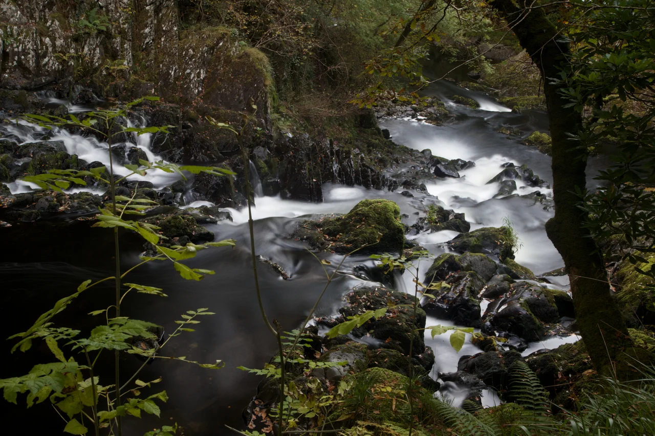 Aber Falls, Gwynedd.
Taken by James@hopgrove, May 2004.