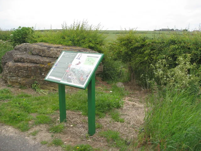 Relief map of Lincolnshire, UK.
Equirectangular map projection on WGS 84 datum, with N/S stretched 165%
Geographic limits:
West: 1.16W
East: 0.39E
North: 53.75N
South: 52.62N