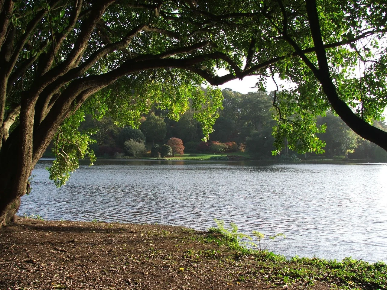 Lake at Mount Stewart, Northern Ireland.