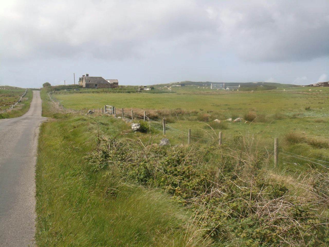 Isle of Coll, April, 2017