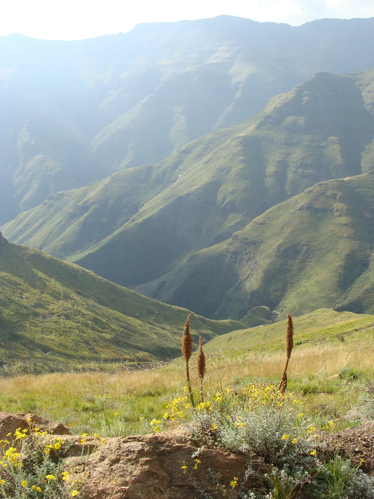View overlooking the Ts'ehlanyane National Park.