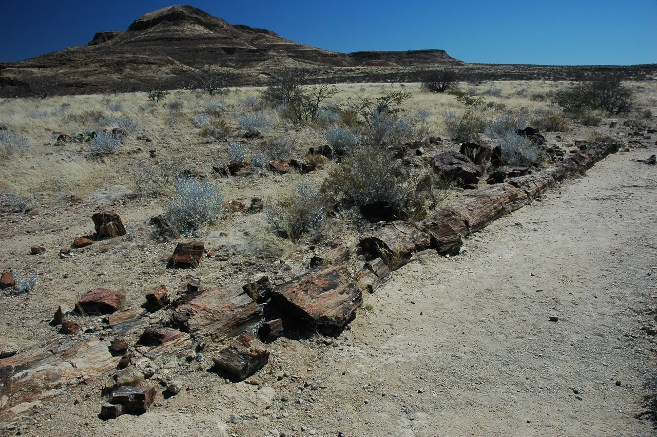 Namibie Petrified Forest
Photographie prise par GIRAUD Patrick