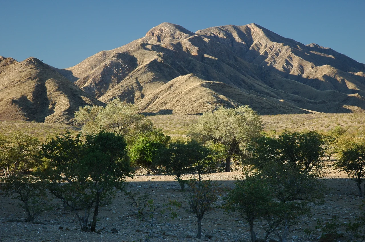 Kaokoland, Namibië
Photographie prise par GIRAUD Patrick