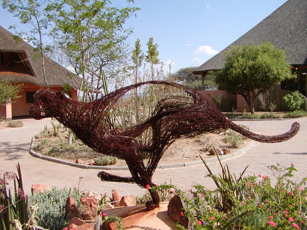 The Cheetah Conservation Fund's Field and Research Centre in Otjiwarongo, Namibia. Author: P. Tricorache.