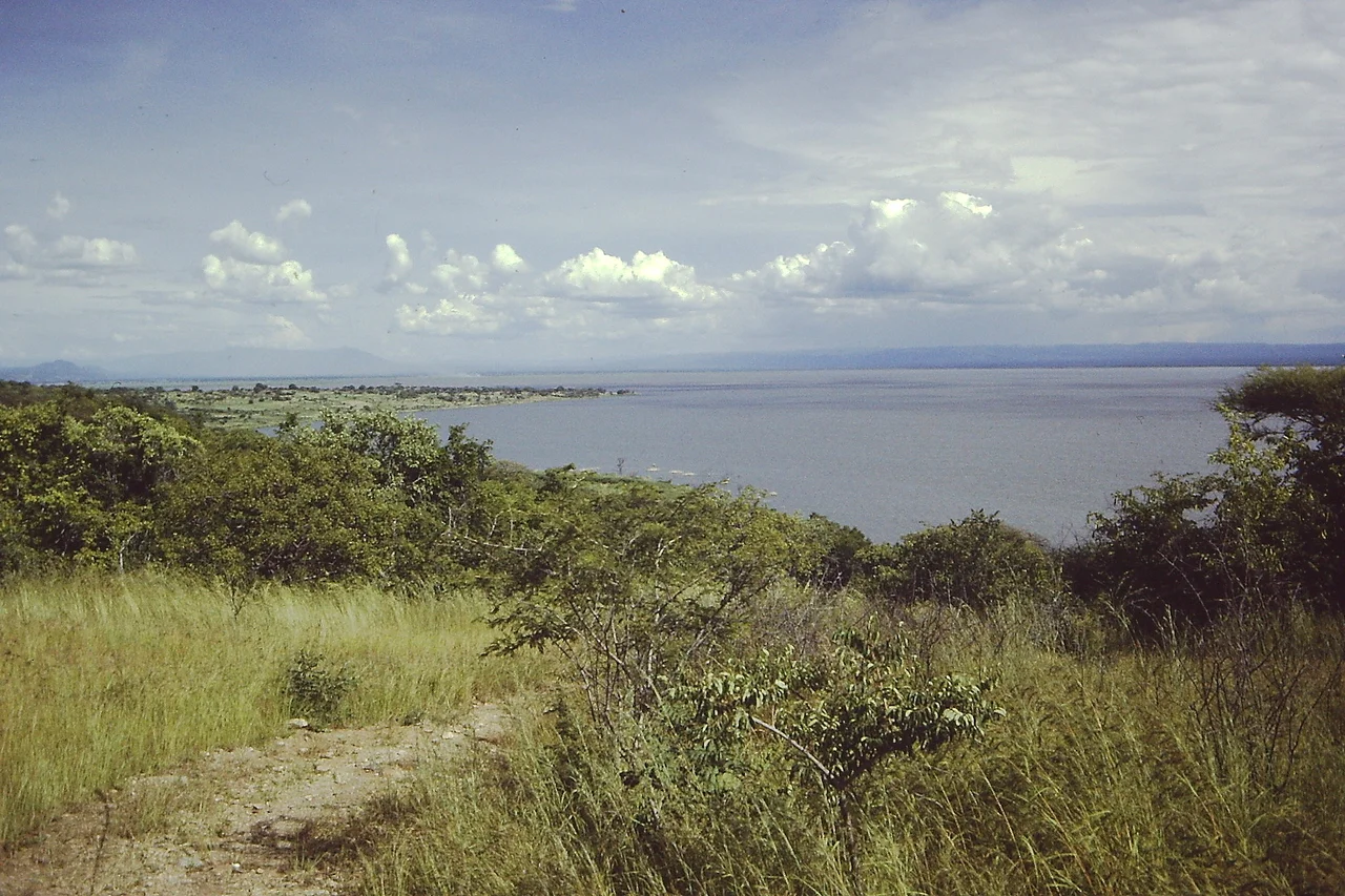 Lake Rukwa: the central area from the Northern shore