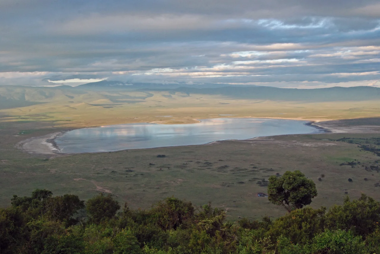 The Ngorongoro Conservation Area (NCA) is a conservation area and a UNESCO World Heritage Site. The main feature of the NCA is its large, unbroken, unflooded volcanic caldera. A dominant feature of the Ngorongoro Caldera is Lake Magadi, a shallow soda lake that supports large flocks of flamingo.