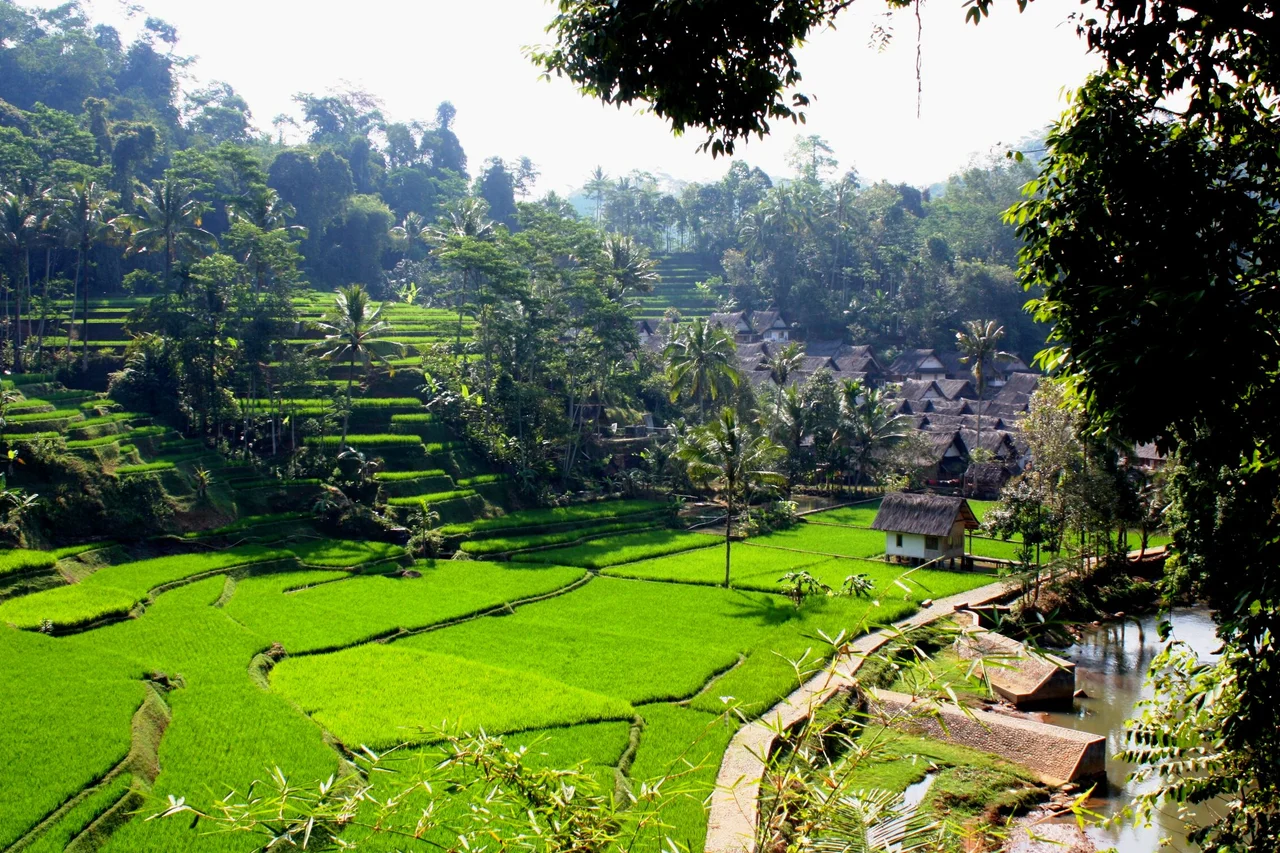 According to the data from Neglasari village, the surface soil of Kampung Naga hills with those used for land productivity can be fertile. Area of land in Kampung Naga is one of half a hectare, mostly used for housing, yards, ponds, and the rest is used for agriculture rice harvested twice a year.