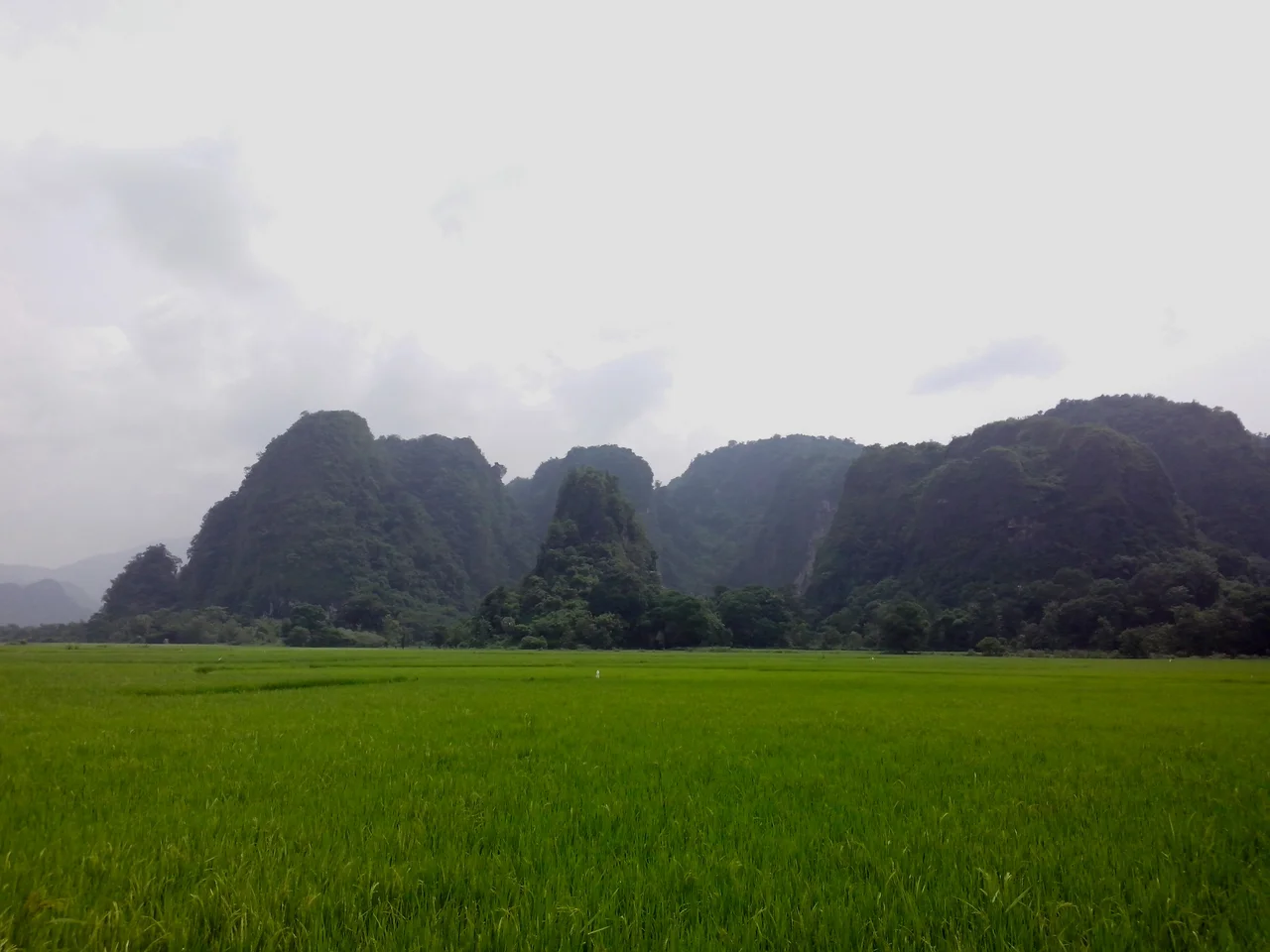 Karst Mountain in Maros as seen from the road to Leang-Leang Prehistoric Caves site.